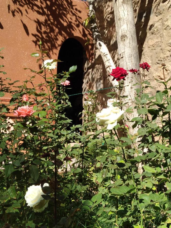 Berbere De La Montagne Hotel Imdiazene 外观 照片