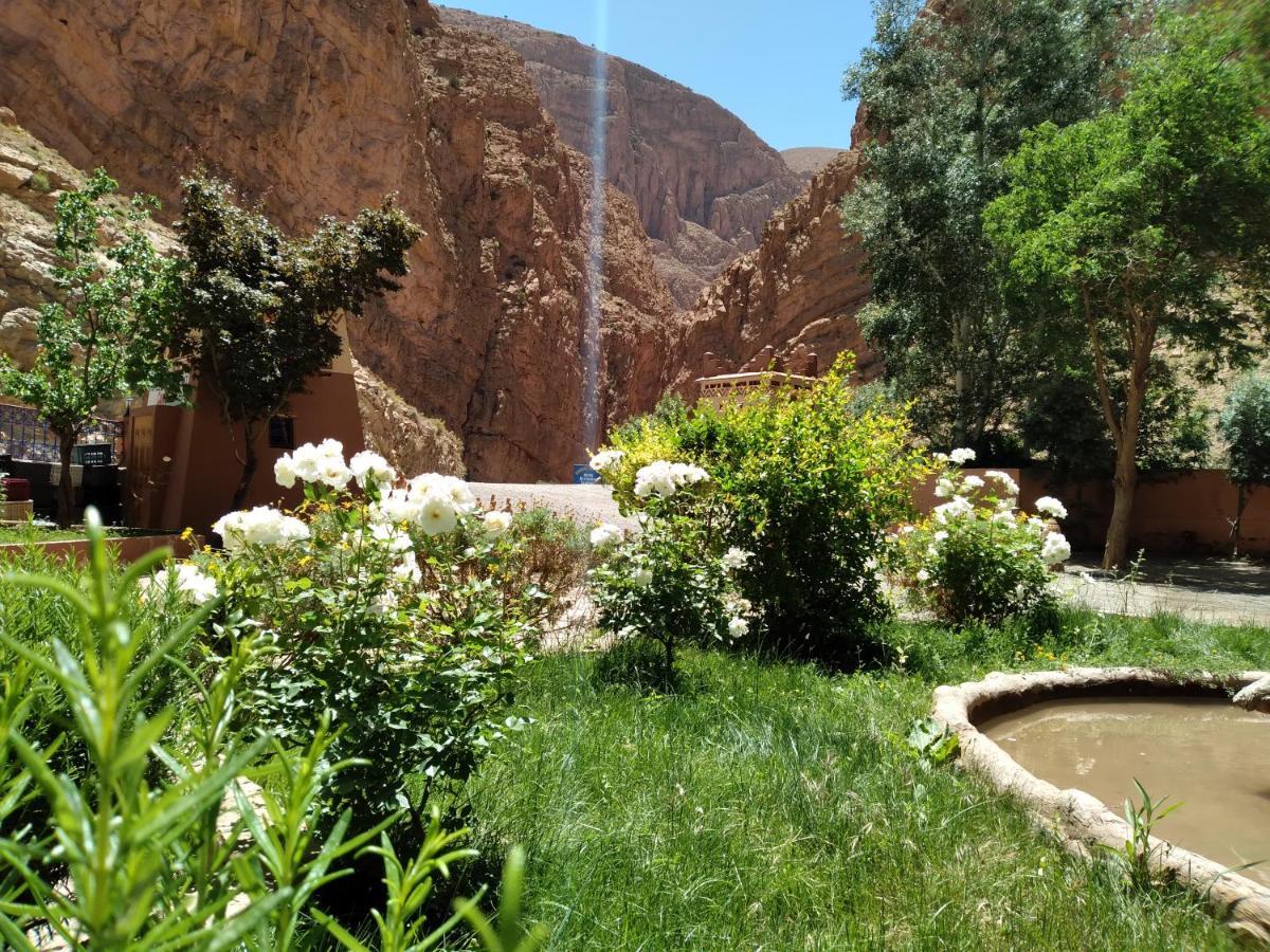 Berbere De La Montagne Hotel Imdiazene 外观 照片